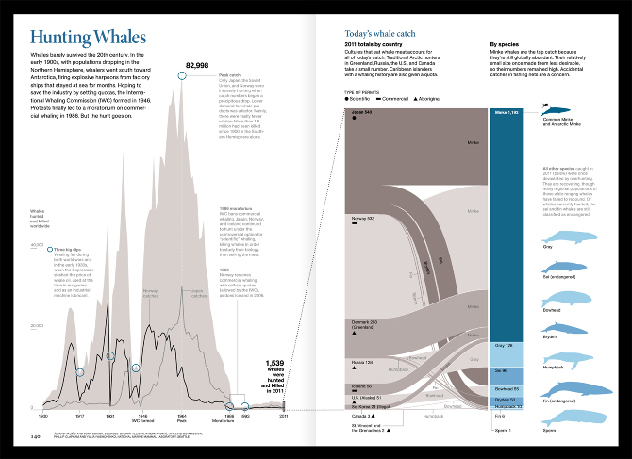 Whaling infographic